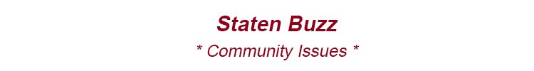 staten island community issues staten island crime staten island schools staten island healthcare si nyc