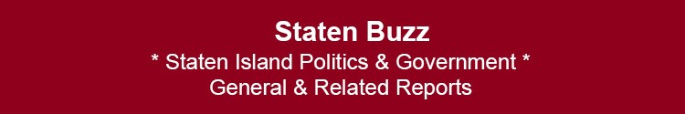 staten island politics government si nyc nys usa representation 