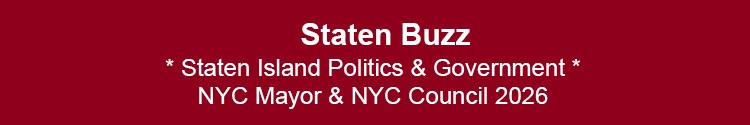 staten island politics government nyc mayor nyc council borough presidents si nyc