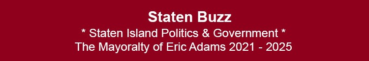 staten island politics government nyc mayor nyc council borough presidents si nyc
