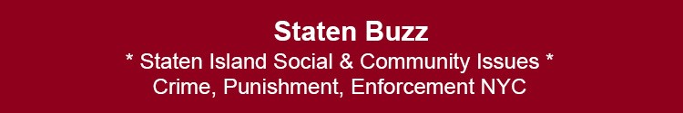 staten island social community issues crime punishment enforcement prevention nypd nyc nys govt si nyc